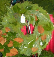 LHF2010/2006WREATH_GRNVARIG_LEYLAND_MAG_JPG_w180h189.jpg