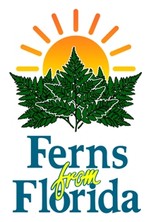 LHF2010/fern_from_fla_email.jpg