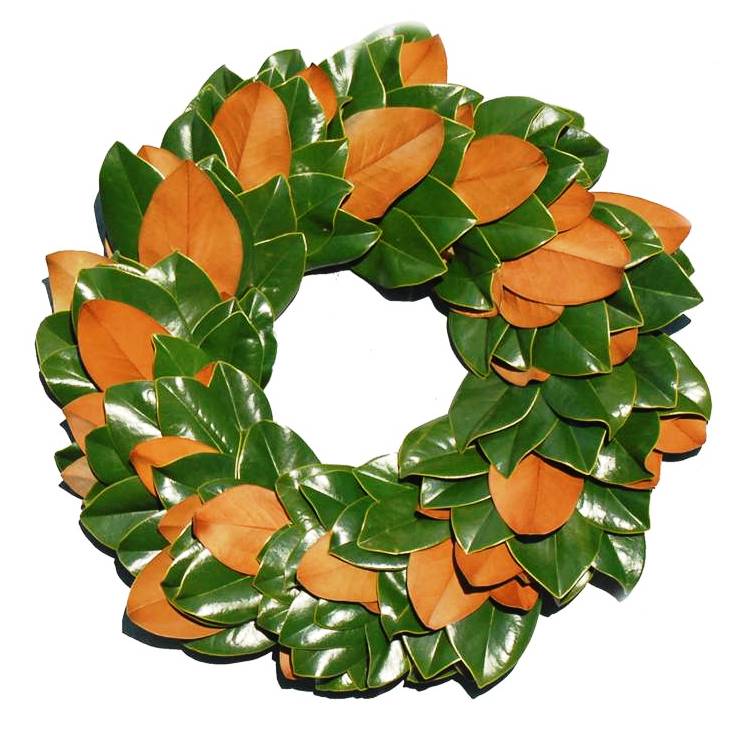 LHF2010/wreath_1_item_magnolia.jpg