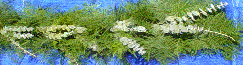 webassets/Garland_PLU_BBuec_cropped.gif