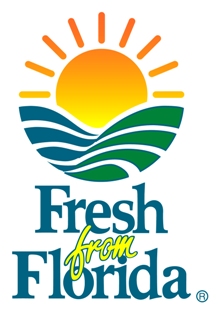 freshfromfla